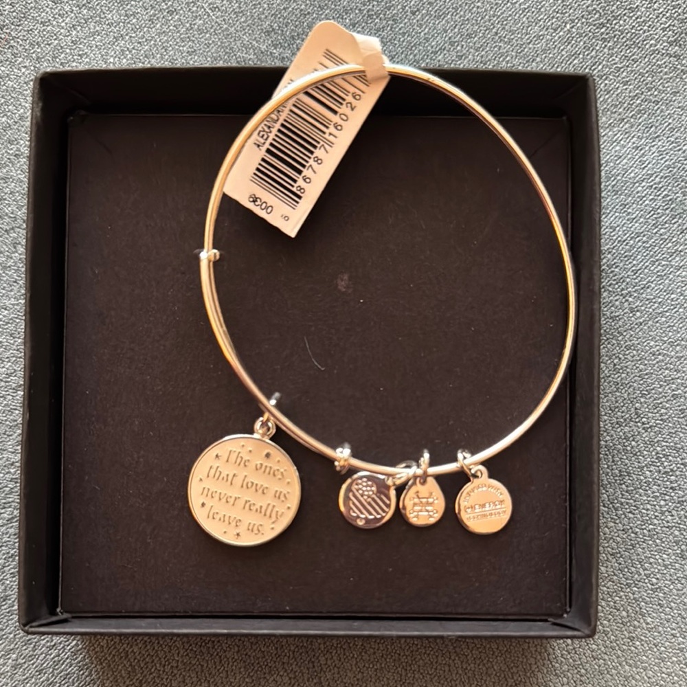 Alex and Ani Silver Charm Bracelet Expandable Wire Bangle Harry Potter
